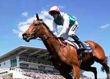 Attending the Investec Derby 2013