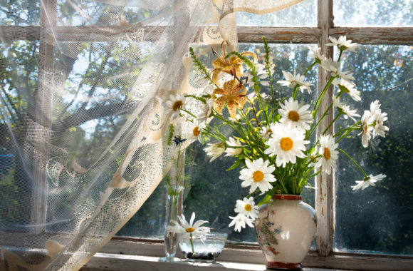 Why It’s Important to Maintain Your Sash Windows this Summer